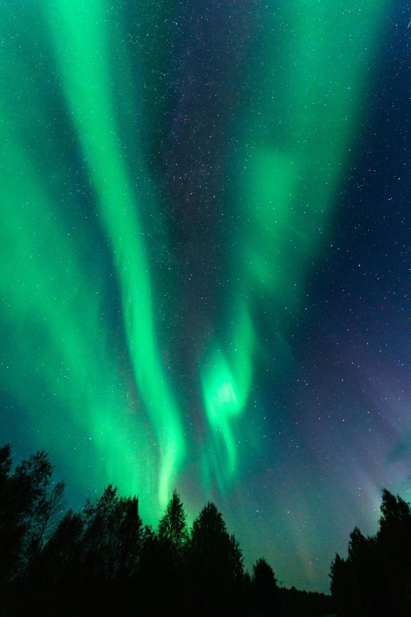 Villa Aurora Norva Rovaniemi Dış mekan fotoğraf